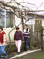 IMAG0113.JPG